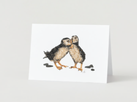 Card | Salt & Pepper Plovers